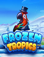 สล็อต เครดิตฟรีทุกวัน ทดลองเล่นเกมดีๆ ไม่ควรพลาด